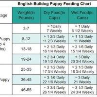 English Bulldog Feeding Chart