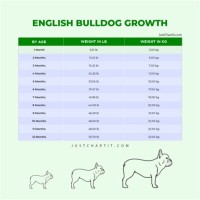 English Bulldog Growing Chart