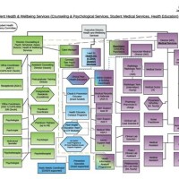 Enrollment Management Anizational Chart