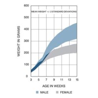 Envigo Sprague Dawley Growth Chart