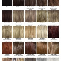 Envy Wigs Color Chart