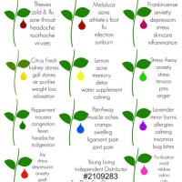 Essential Oil Benefits Chart