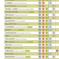 Essential Oil Flash Point Chart