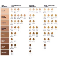 Estee Lauder Color Chart Double Wear