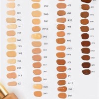 Estee Lauder Double Wear Makeup Color Chart