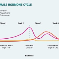 Estrogen Levels Before Ovulation Chart