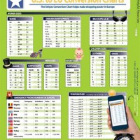 European American Size Conversion Chart