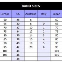 European Bust Size Chart Conversion To Indian