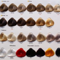 Evolution Hair Color Chart