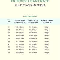 Exercise Heart Rate Chart By Age And Gender