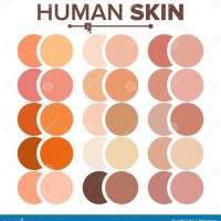 Face And Body Colour Chart