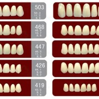 False Teeth Size Chart