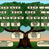 Family Genealogy Charts