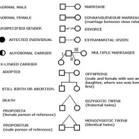 Family Pedigree Chart Key