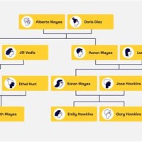 Family Tree Flow Chart