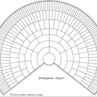 Fan Family Tree Charts Templates