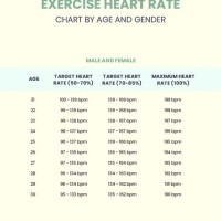 Fat Burning Exercise Heart Rate Chart By Age And Gender