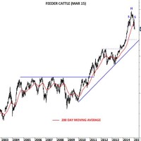 Feeder Cattle Chart Historical