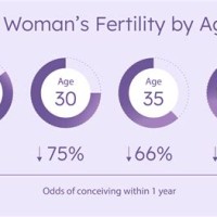 Female Fertility Age Chart