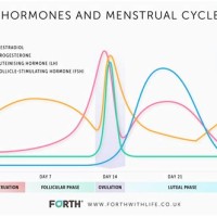 Female Hormone Cycle Chart Pregnancy