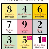 Feng Shui 9 Star Ki Astrology Chart