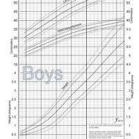 Fenton Preterm Growth Chart Boy