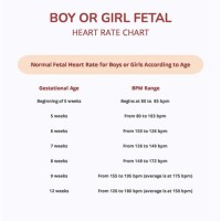 Fetal Heart Rate Boy Or Chart