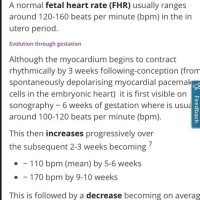 Fetal Heart Rate Chart 2st Trimester