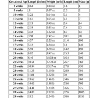 Fetal Weight Chart In Grams At 16 Weeks