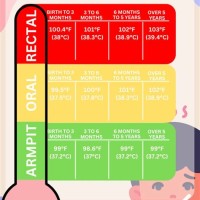 Fever Temperature Chart Seniors