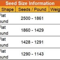 Field Corn Seed Size Chart