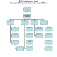 Fillable Ics Chart