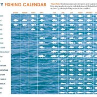 Fishing Charts For Today