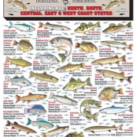 Fishing Charts