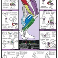 Fitness Charts And Posters