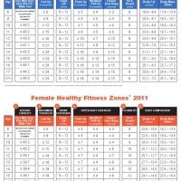 Fitnessgram Healthy Fitness Zone Chart 2020