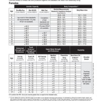 Fitnessgram Healthy Fitness Zone Chart