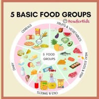 Five Basic Food Groups Chart