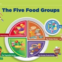 Five Main Food Groups Chart