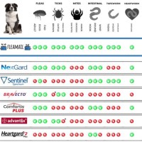 Flea And Tick Parison Chart