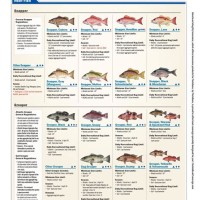 Florida Fishing Regulations Chart