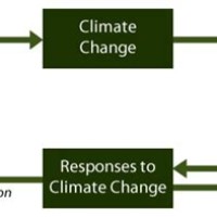 Flow Chart On Causes And Effects Of Global Warming