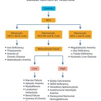 Flow Chart Pathophysiology Of Iron Deficiency Anemia Ppt