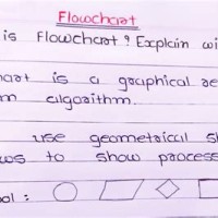 Flowchart Explain In Hindi