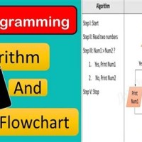 Flowchart In C Language Hindi