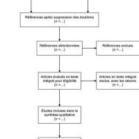 Flowchart Traduction Francaise