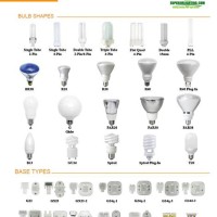 Fluorescent Light Bulb Chart