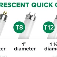 Fluorescent Light Bulb Size Chart