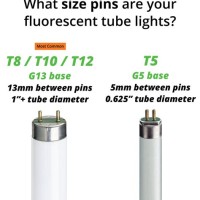 Fluorescent Size Chart