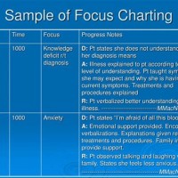 Focus Charting Definition